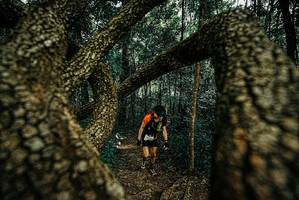 BIB: 
                            <button type="button" onclick="openModal(25670997)" class="btn btn-primary btn-sm float-right btn-popup" data-toggle="modal" data-target=".modal-high-quality">
                        <i class="fas fa-shopping-cart"></i> Add to Cart
                    </button>
                                            <button type="button" onclick="isThisMe(25670997, true)" class="btn btn-success btn-sm float-right btn-popup btn-isme hidden" data-toggle="tooltip" data-placement="bottom" title="นี่คือรูปของคุณใช่ไหม คลิกที่นี่เพื่อเอาเข้าอัลบั้ม">
                        <i class="fas fa-plus"></i> Add to album
                    </button>
                    <button type="button" onclick="isThisMe(25670997, false)" class="btn btn-warning btn-sm float-right btn-popup btn-isnotme hidden">
                        <i class="fas fa-ban"></i> Remove from album
                    </button>